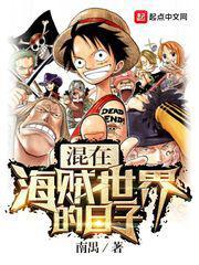 混在海贼世界的日子精校版