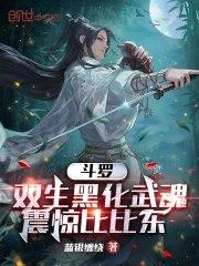 震惊比比东目录