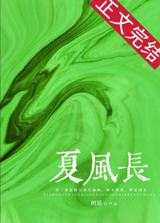 夏风长讲了什么