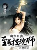 魔帝狂宠妃