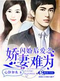 闪婚娇妻难待候