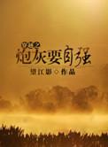 炮灰在90年代
