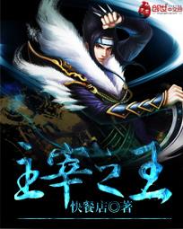 主宰之王无弹窗