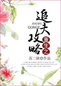 重生追夫推荐