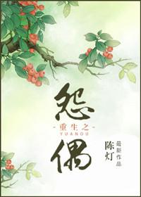 重生之怨偶讲的啥