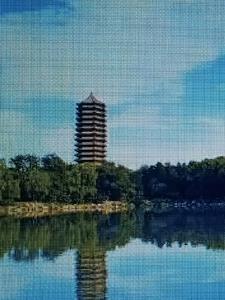 东莞市鸿缘微科技有限公司怎么样